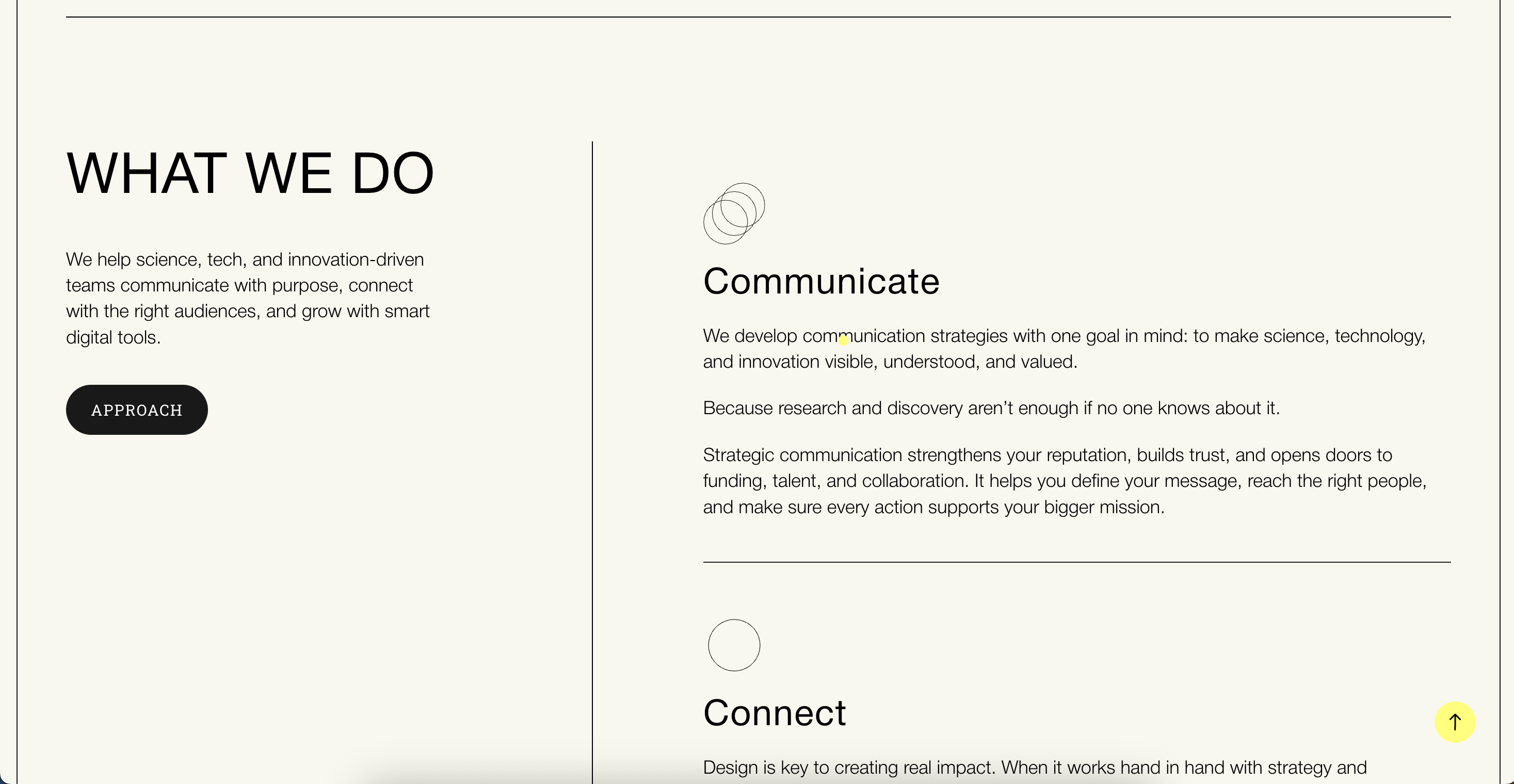 Cocobrand — servicios